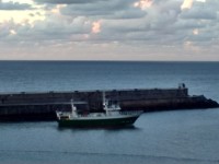 /album/fotogaleria-arrigorri-harrigarri/img-20200830-204231-jpg/