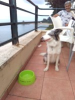 /album/fotogaleria-arrigorri-harrigarri/img-20190825-171926-jpg/