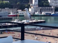 /album/fotogaleria-arrigorri-harrigarri/img-20200726-181046-jpg/